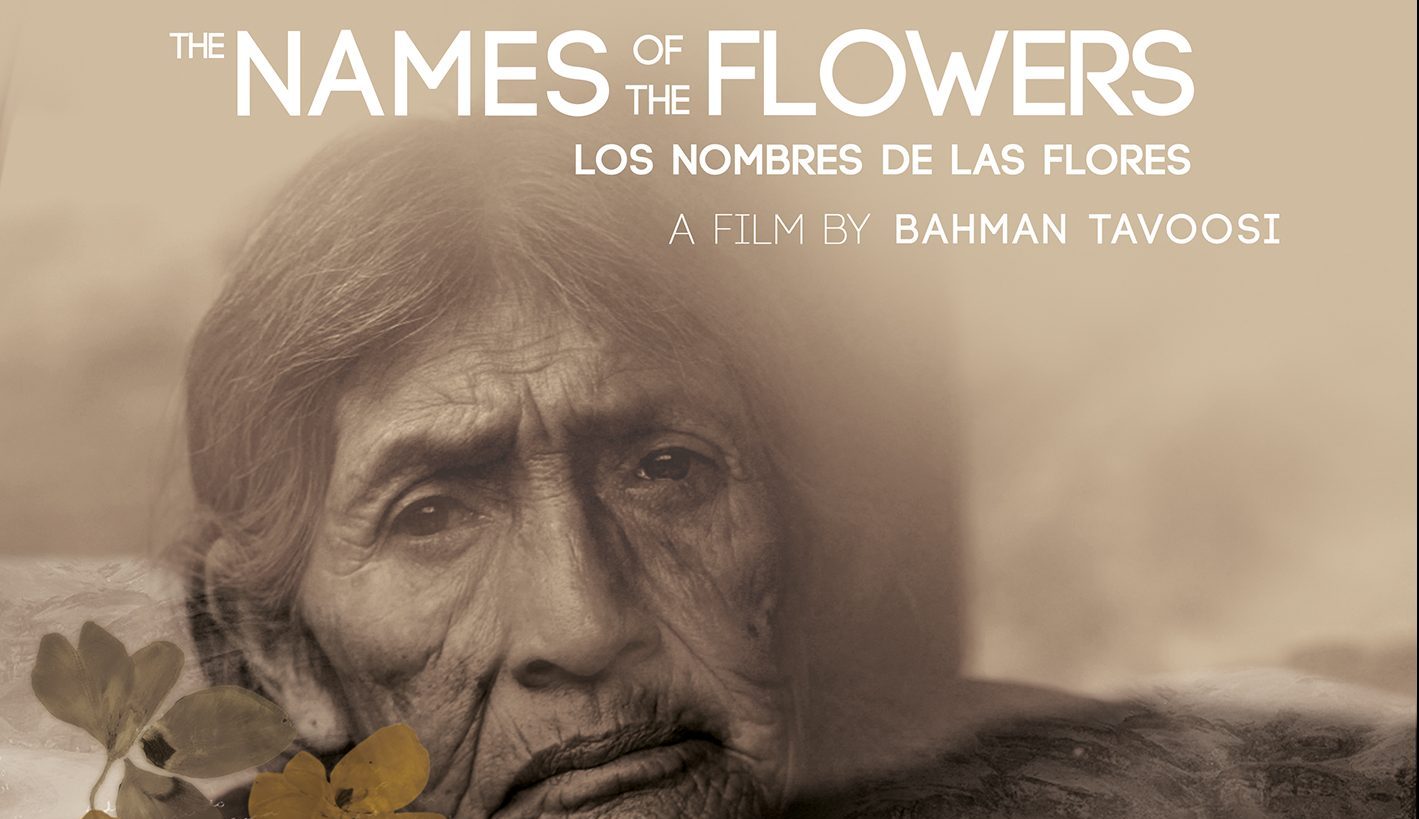 BIB-FILM-FLORES-Flores-e1642182948457.jpg
